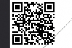 «Заң және Тәртіп» тұжырымдамасы – қылмыстық құқық бұзушылықтардың негізгі түрлерінің профилактикасы бойынша материалдардан тұратын QR-код.